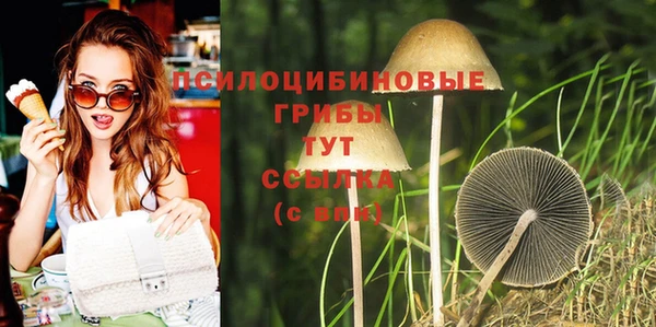 твердый Алзамай
