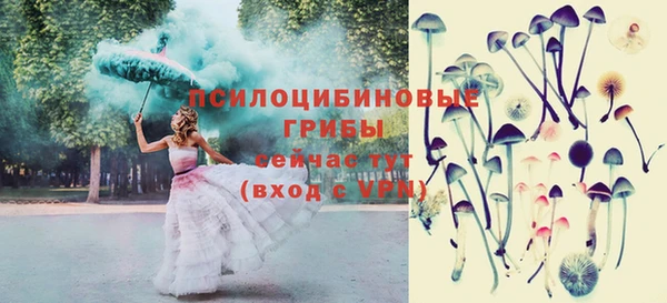 spice Алексин