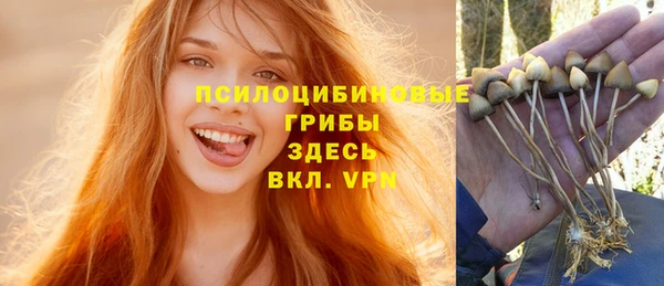 твердый Алзамай