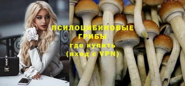 твердый Алзамай
